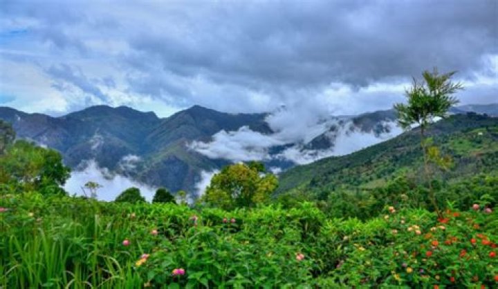 How can I go to Kotagiri from Coimbatore?