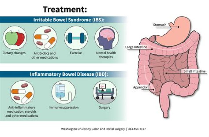 How can I heal my gut IBS?