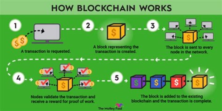 How can I make my own Blockchain?