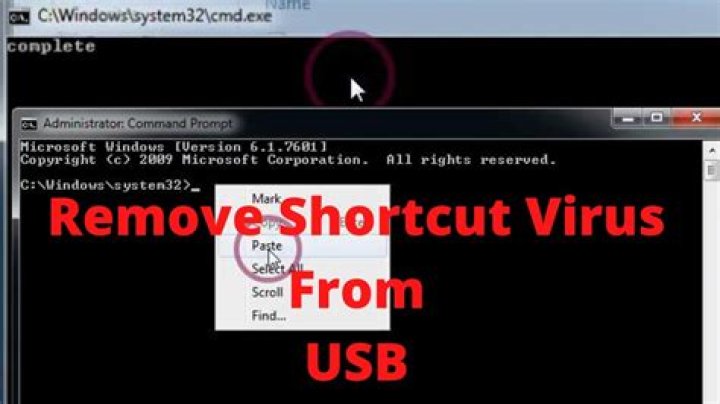How can I protect my flash drive from shortcut virus?