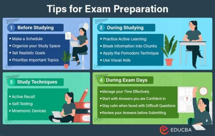 How can I start preparing my cat for self study?