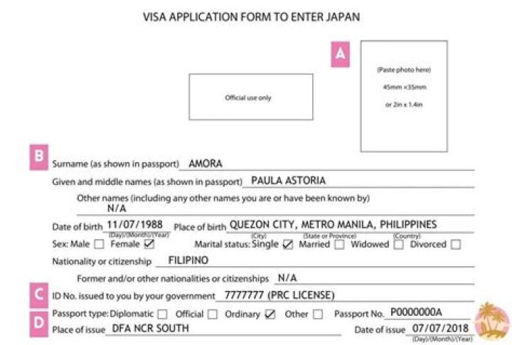 How can I track my Japan visa application?