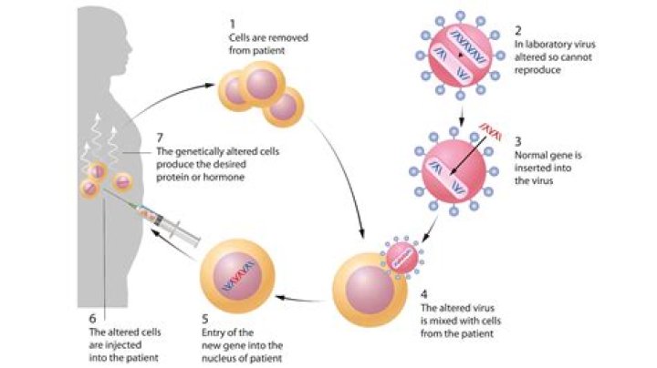 How can nanotechnology be used in gene therapy?