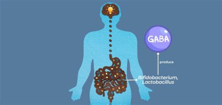 How can the brain produce GABA?