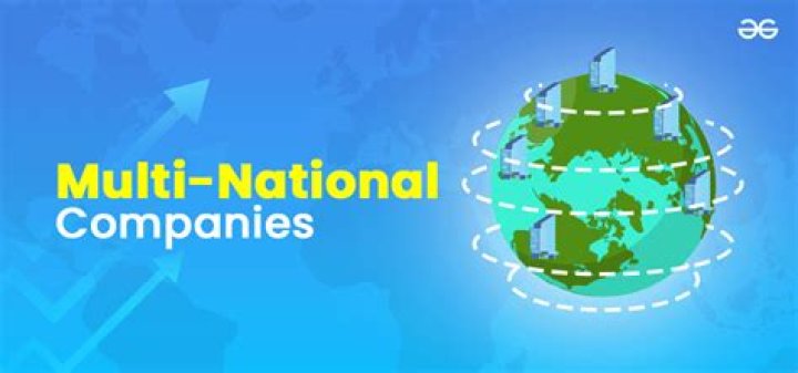 How can the government encourage multinational corporations?