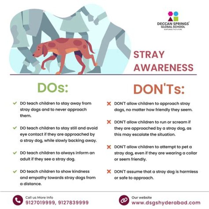 How can we prevent stray animals?