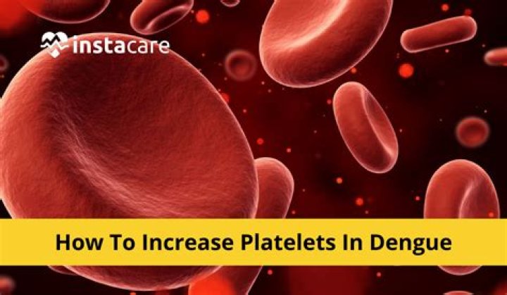 How can we reduce platelets in dengue?