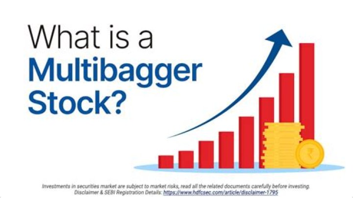 How can you tell if a stock is multibagger?