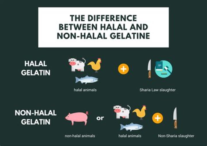 How can you tell if gelatin is halal?