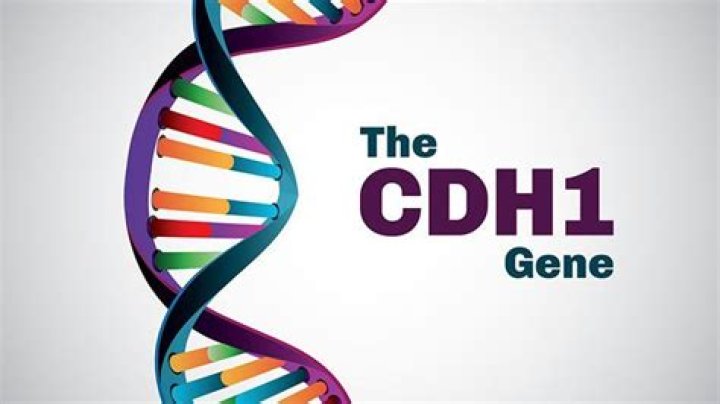 How common is cdh1 mutation?