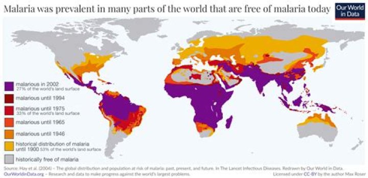 How common is malaria in Kenya?