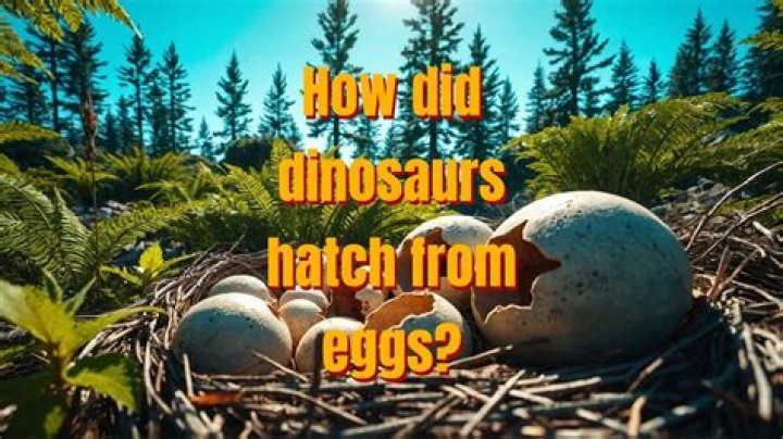 How did dinosaurs hatch from eggs?