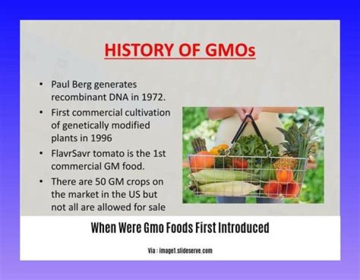 How did GMO foods start?