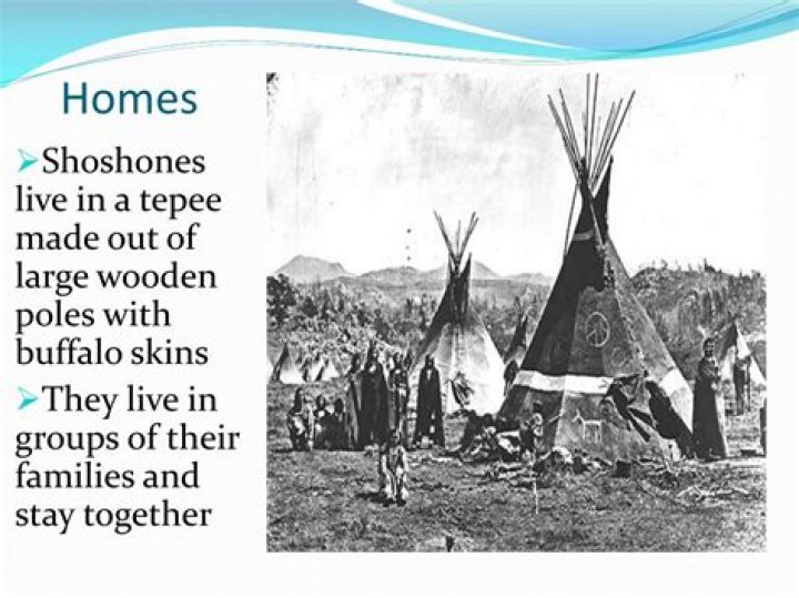 How did the Shoshone cook their food?