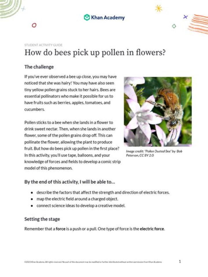 How do bees pick up pollen?