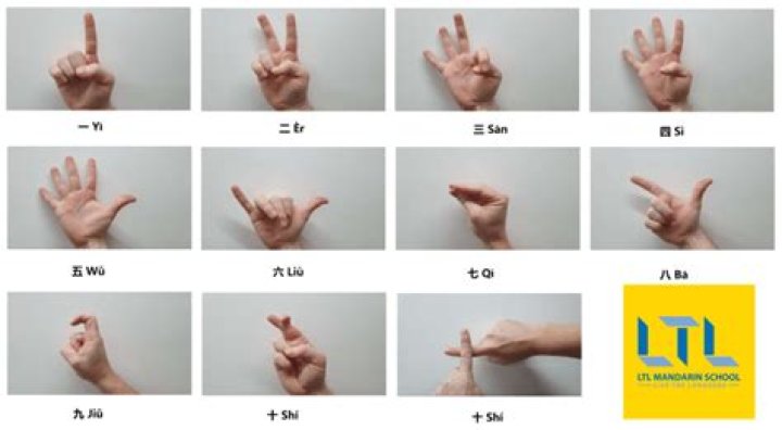 How do Chinese count on their hands?