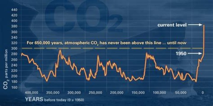 How do co2 levels vary during the year?