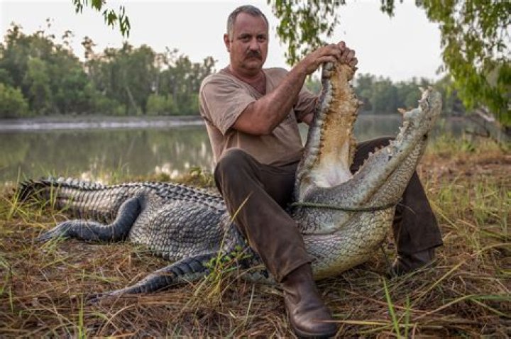 How do crocodiles hunt in water?