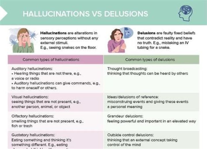 How do delusions differ from hallucinations quizlet?