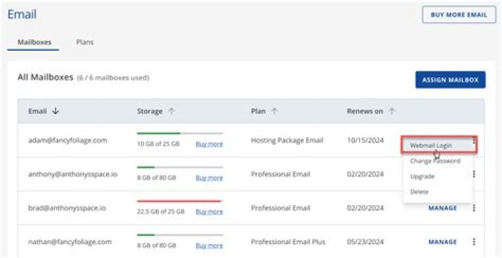 How do I access my professional email?