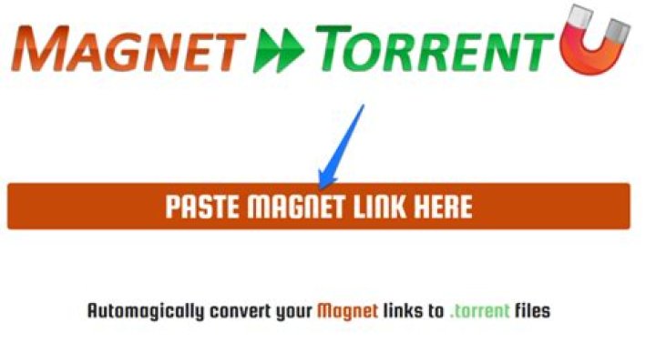 How do I add a magnet link to BitTorrent?