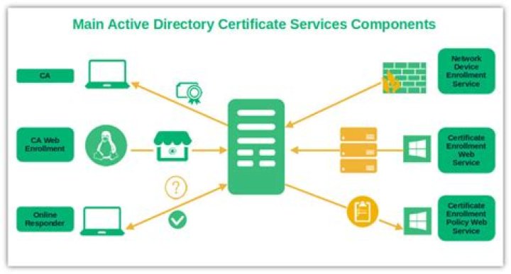 How do I backup my Active Directory Certificate Services?