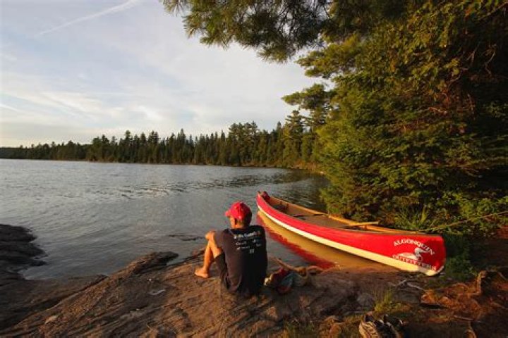 How do I book a canoe trip in Algonquin Park?