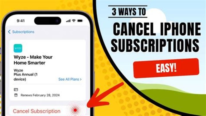 How do I cancel my insights subscription on my iPhone?