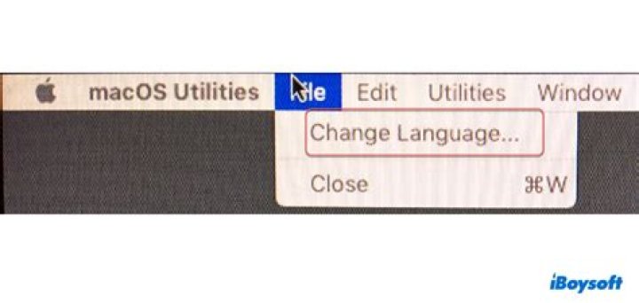 How do I change language in recovery mode?