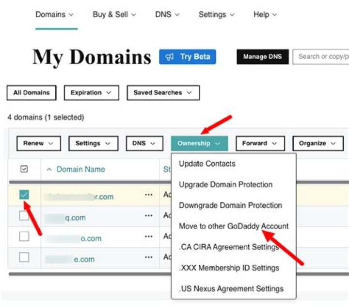 How do I change ownership of a GoDaddy domain?