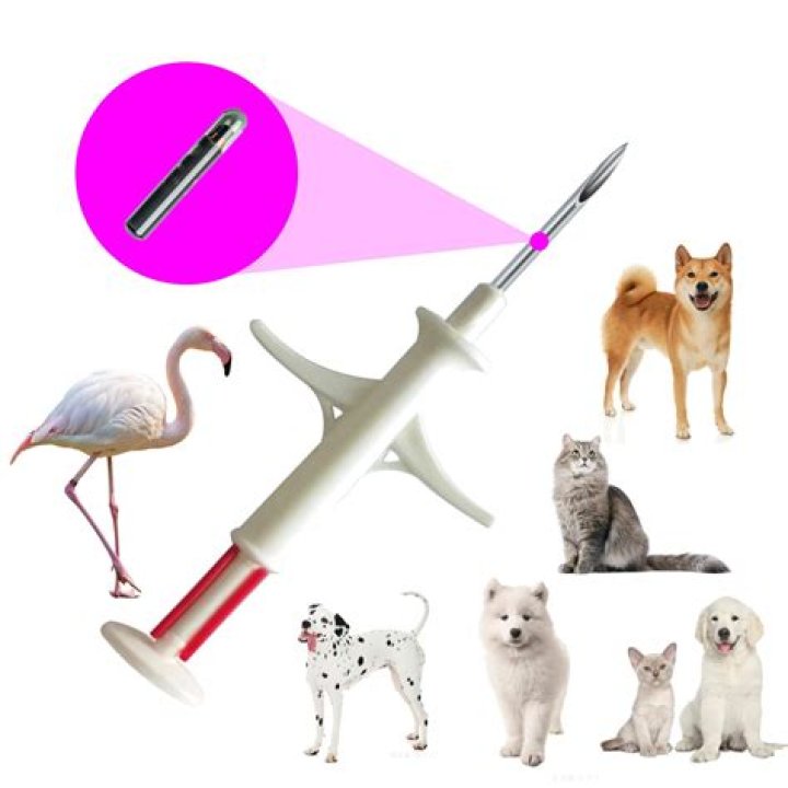 How do I change the ownership of my dog's microchip?