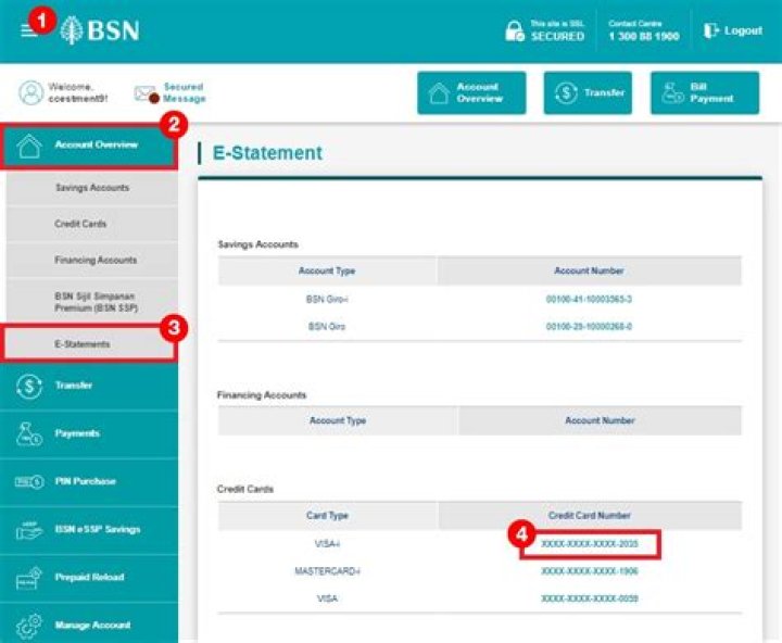 How do I check my BSN balance online?