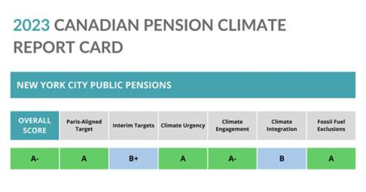 How do I check my NYC report card?