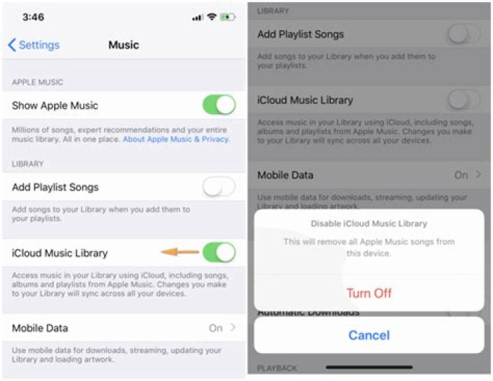 How do I delete my music library on iPhone?