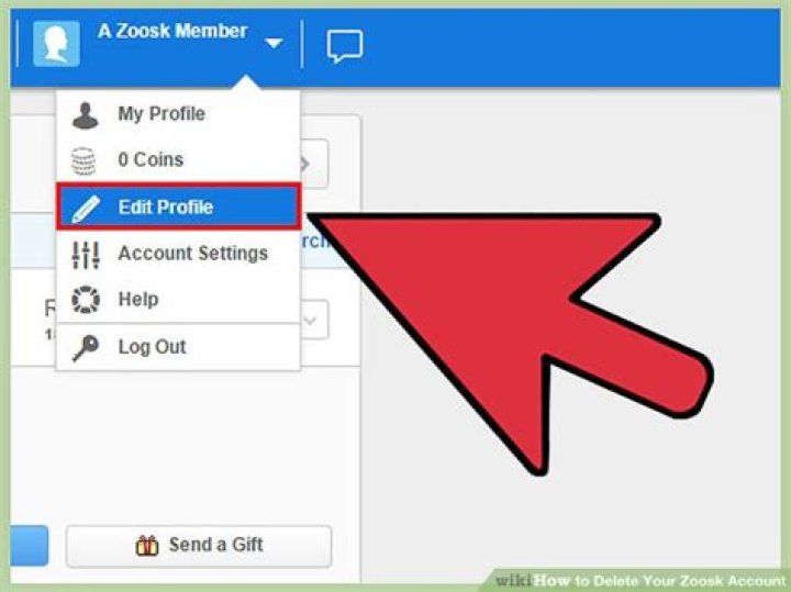 How do I delete my zoosk profile?