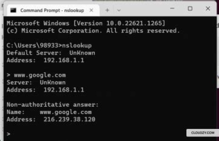 How do I do a DNS lookup in CMD?