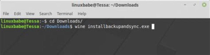 How do I download Wine on Linux Mint 19?