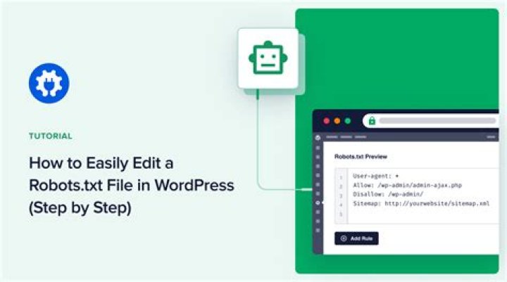 How do I edit robots txt in WordPress?