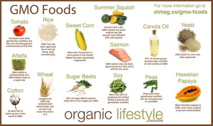 How do I eliminate GMOS from my diet?