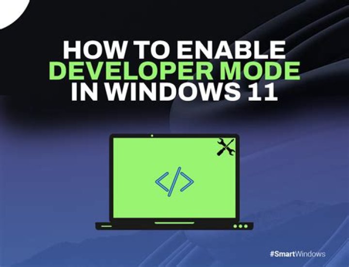 How do I enable developer options in WPS?