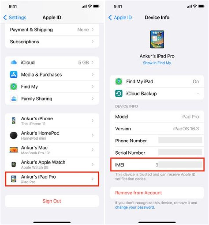 How do I find Apple IMEI on Apple website?