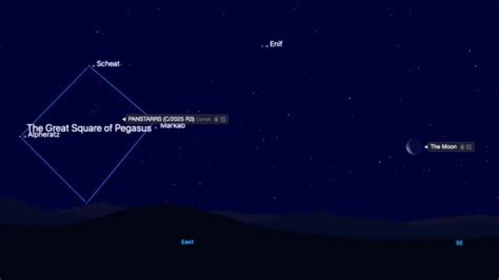 How do I find Comet Panstarrs?
