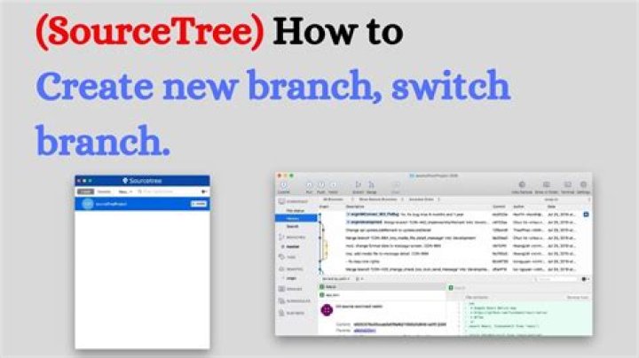 How do I find my branch in SourceTree?