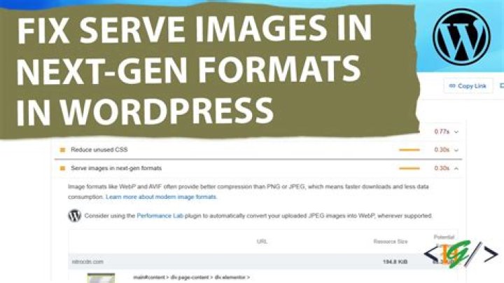 How do I fix a serve image in Nextgen formats in WordPress?