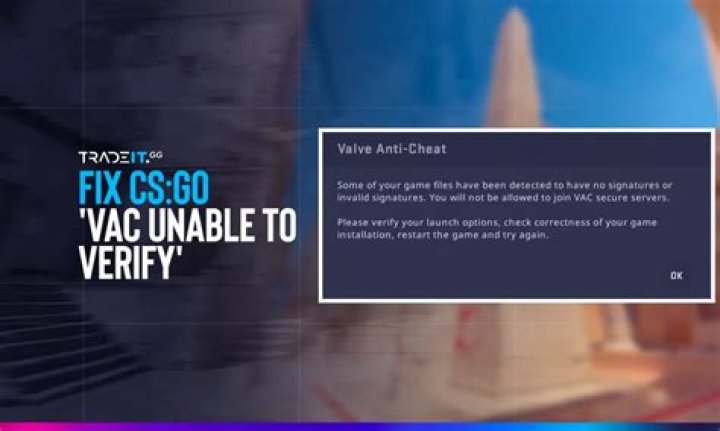 How do I fix VAC was unable to verify my game session 2020?