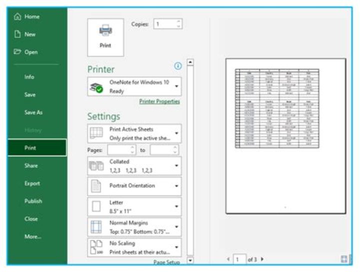 How do I format a check to print in Excel?