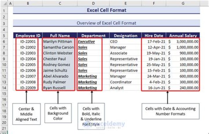 How do I format cells differently in Excel?