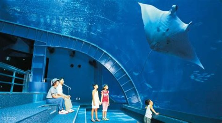 How do I get from Naha to Okinawa aquarium?
