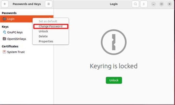 How do I get rid of Enter password to unlock login keyring?