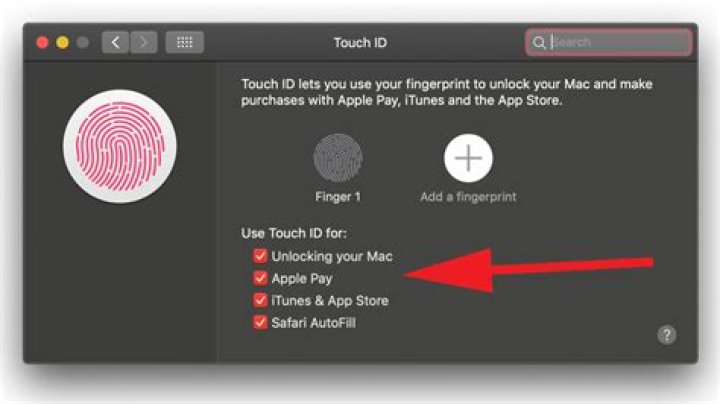 How do I get rid of touch ID on Mac?